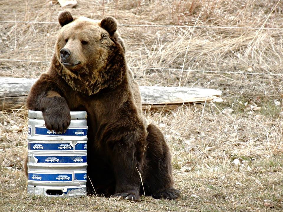 319 Mini Grants Soil and Water Conservation Districts of Montana